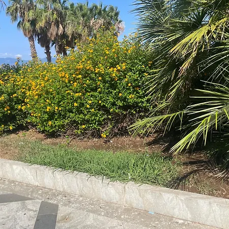 Frühstückspension Nicole House - &