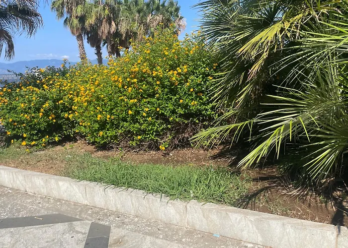 Nocleg ze śniadaniem Nicole House - &