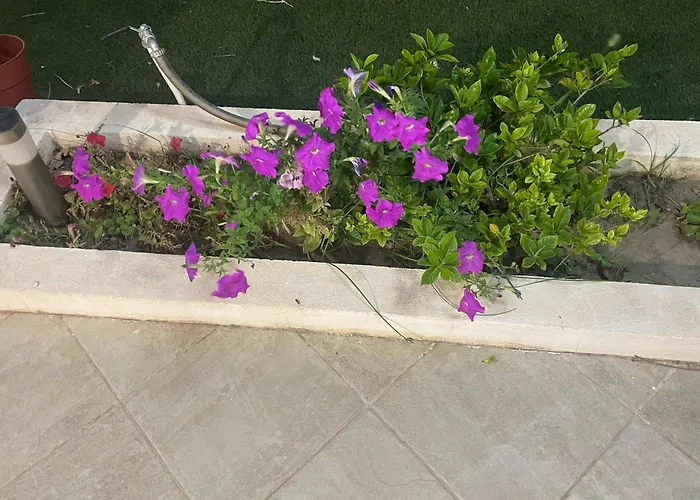 住宿加早餐酒店 Nicole House - & *